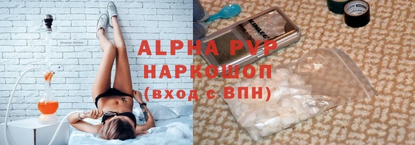 ГАЛЛЮЦИНОГЕННЫЕ ГРИБЫ Дмитриев